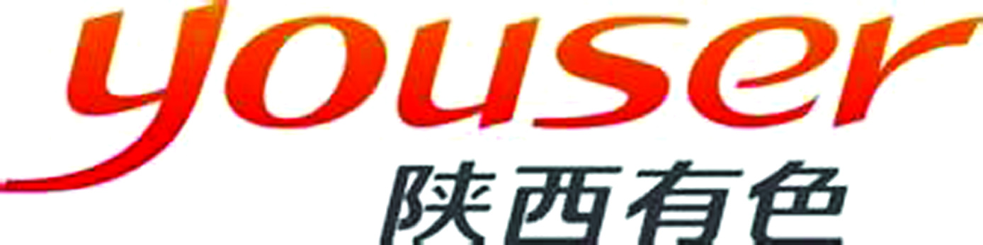 陕西米兰体育