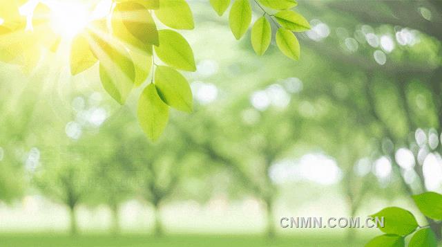 2025年中国再生资源行业十大影响力事件
