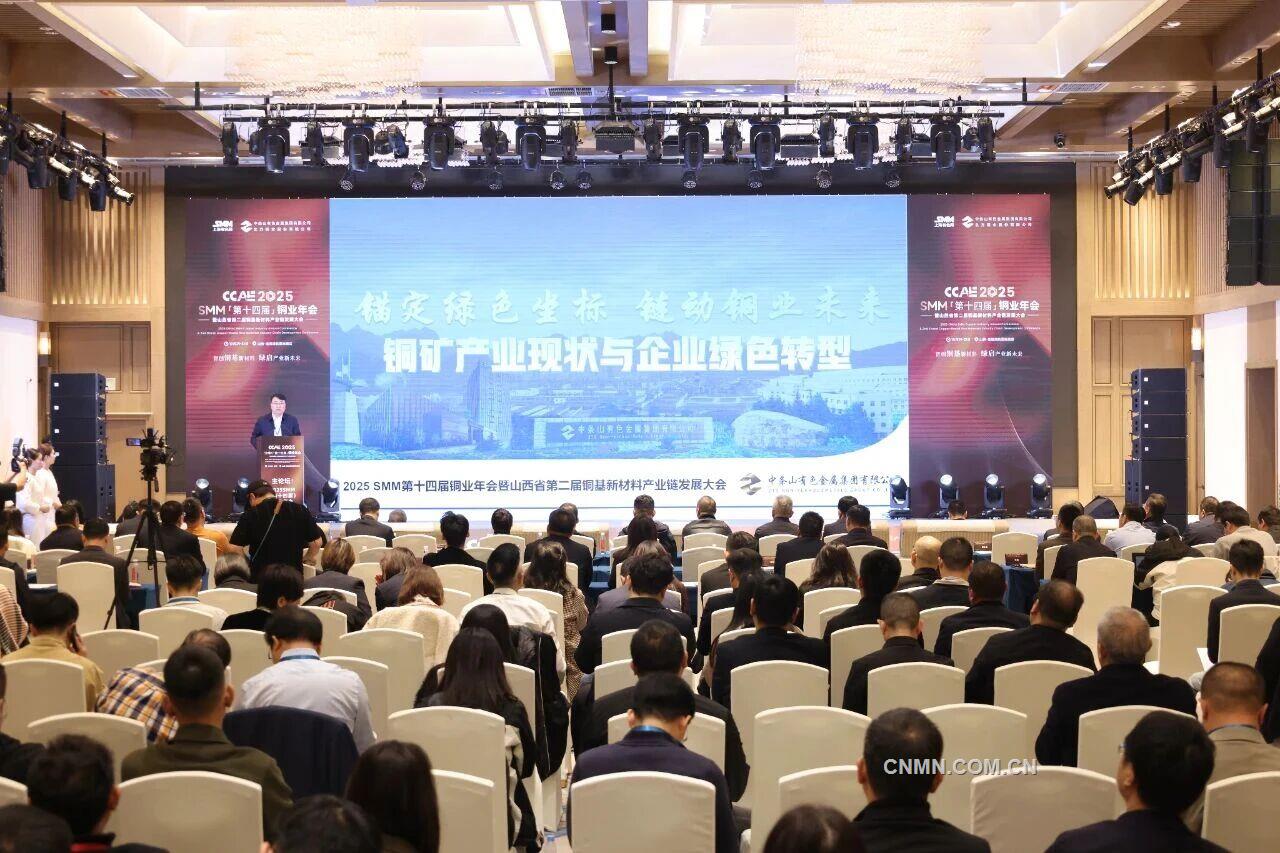 图片6